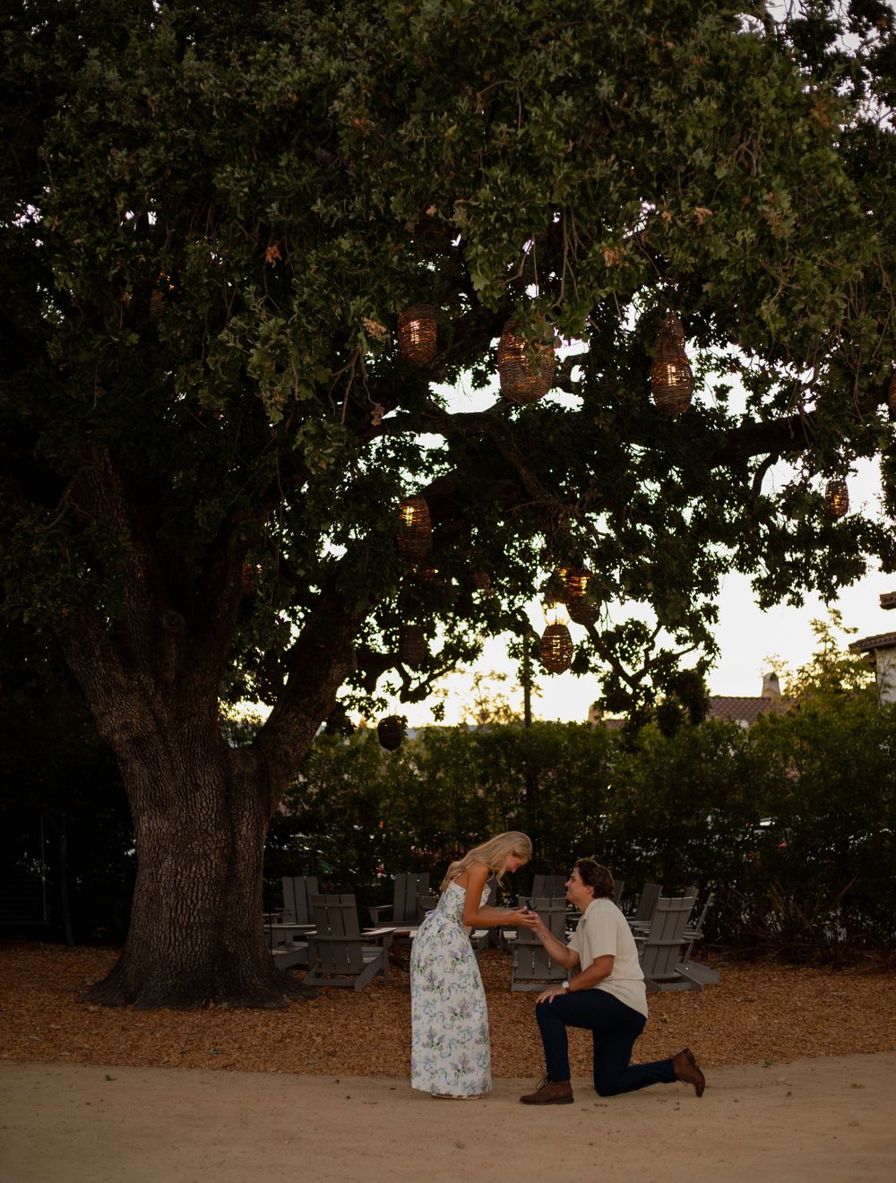 A couple shares an intimate moment under a large oak tree at sunset.