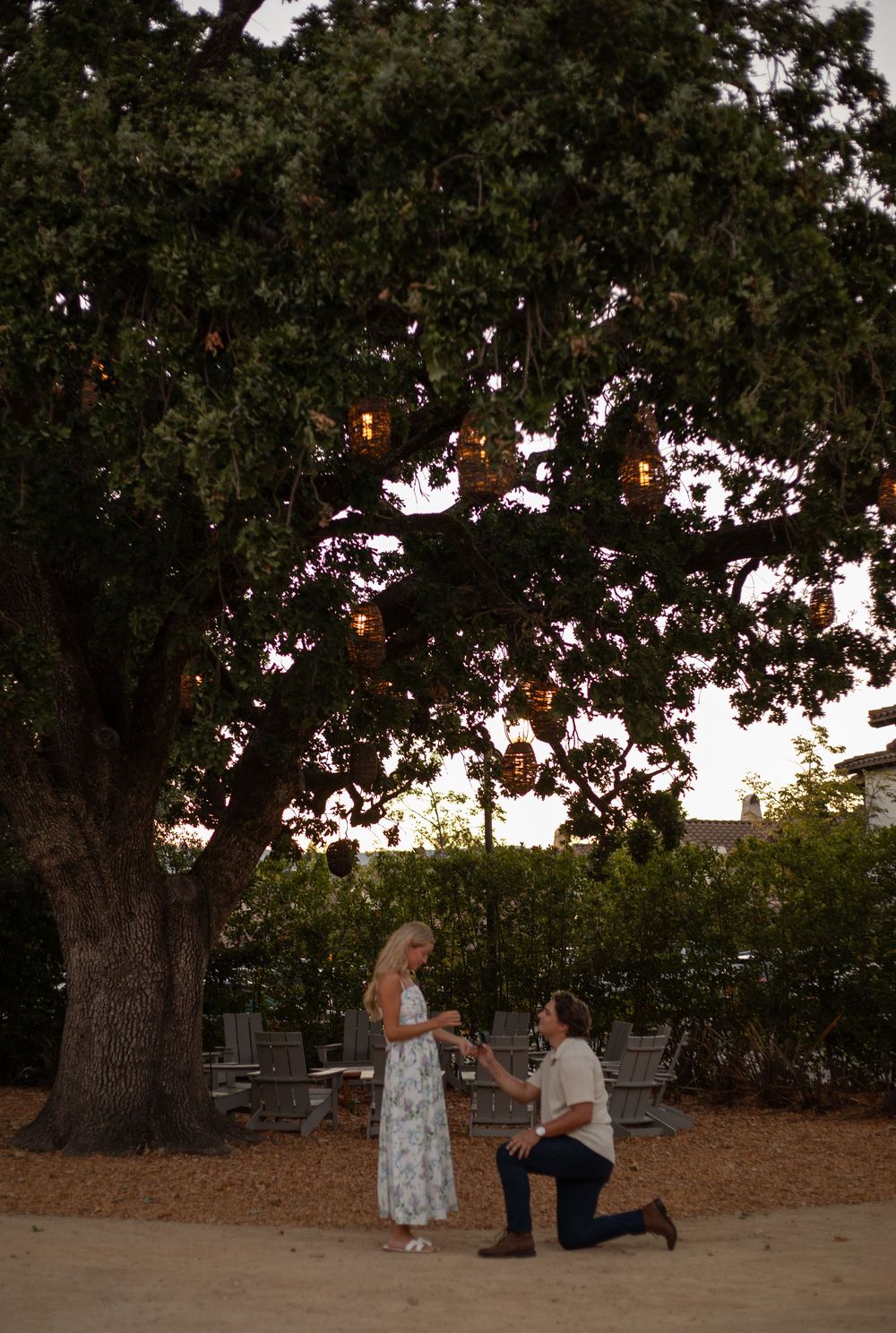 A couple shares an intimate moment beneath a sprawling oak tree with string lights at dusk.