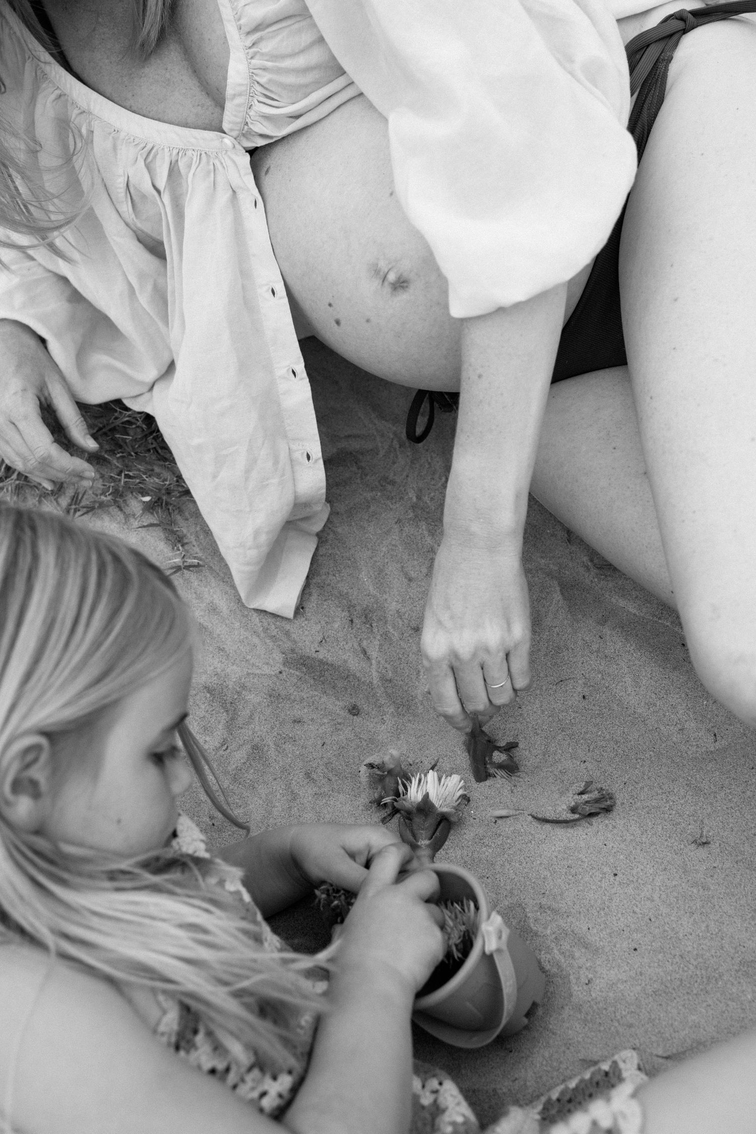 A series of black and white photographs showing hands gently examining an injured bird on the ground.