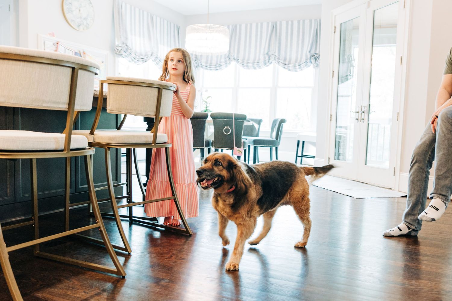 A young girl in a pink dress stands in a dining room with her family dog on a hardwood floor.