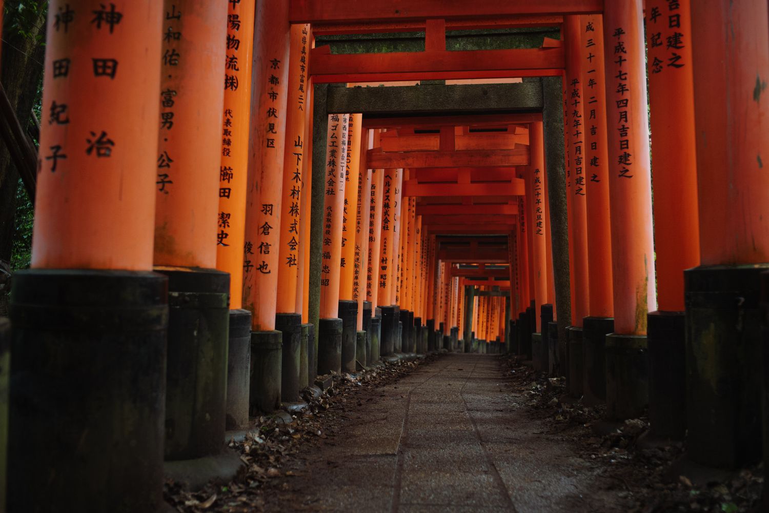 Vermillion torii gates form a winding tunnel pathway at the famous Fushimi Inari Shrine in Kyoto, Japan.