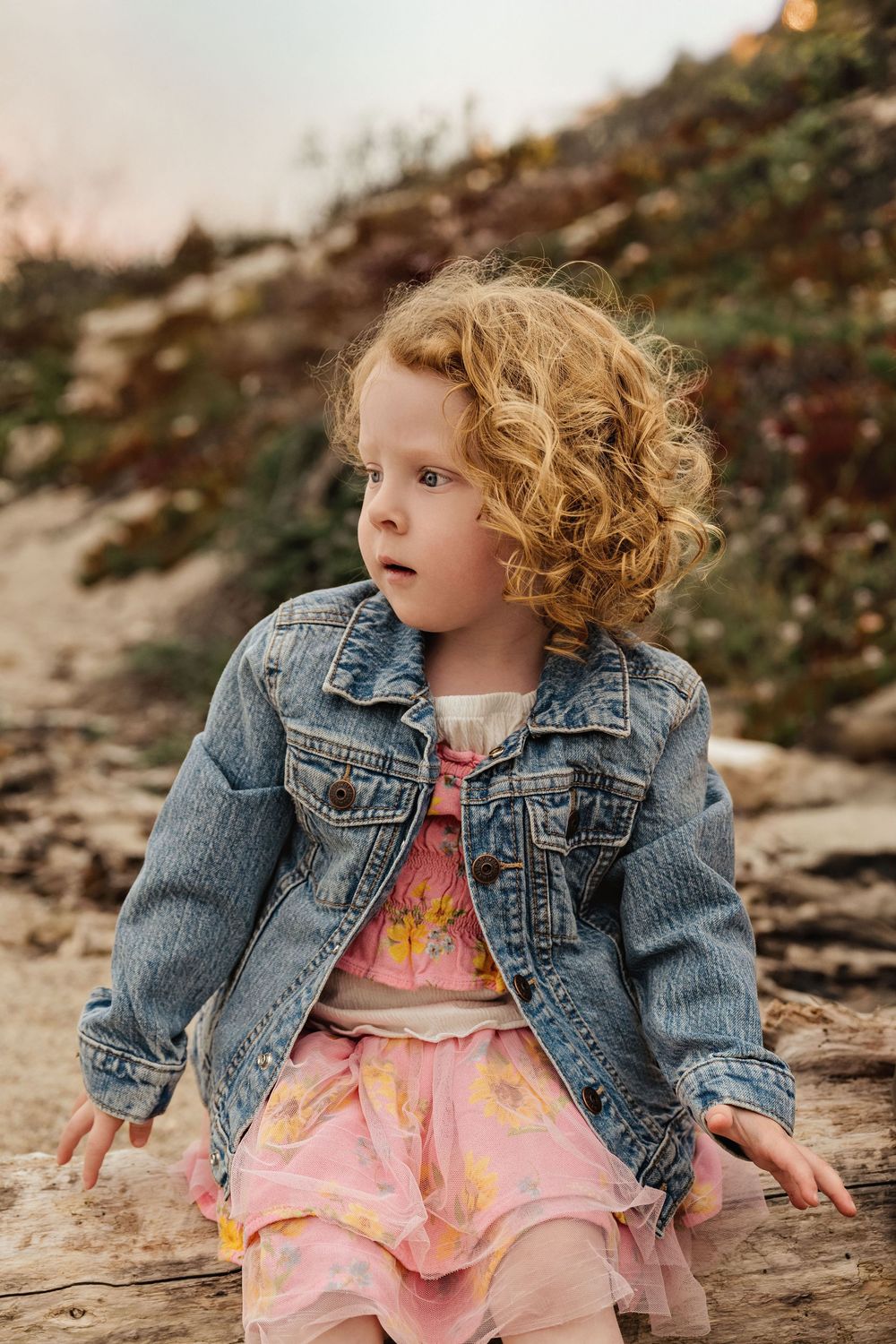 Child in denim jacket and pink dress sitting on rocky shore with curly hair blowing in the wind.