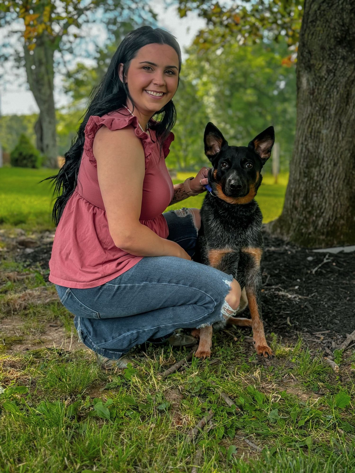 A cattle dog mix sits with his owner near a tree in a sunny outdoor setting with green grass.