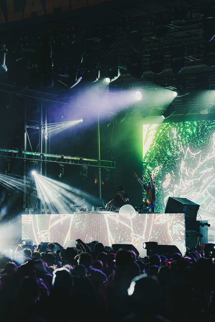Concert crowd silhouetted against large projection screens with green visuals and stage lighting.