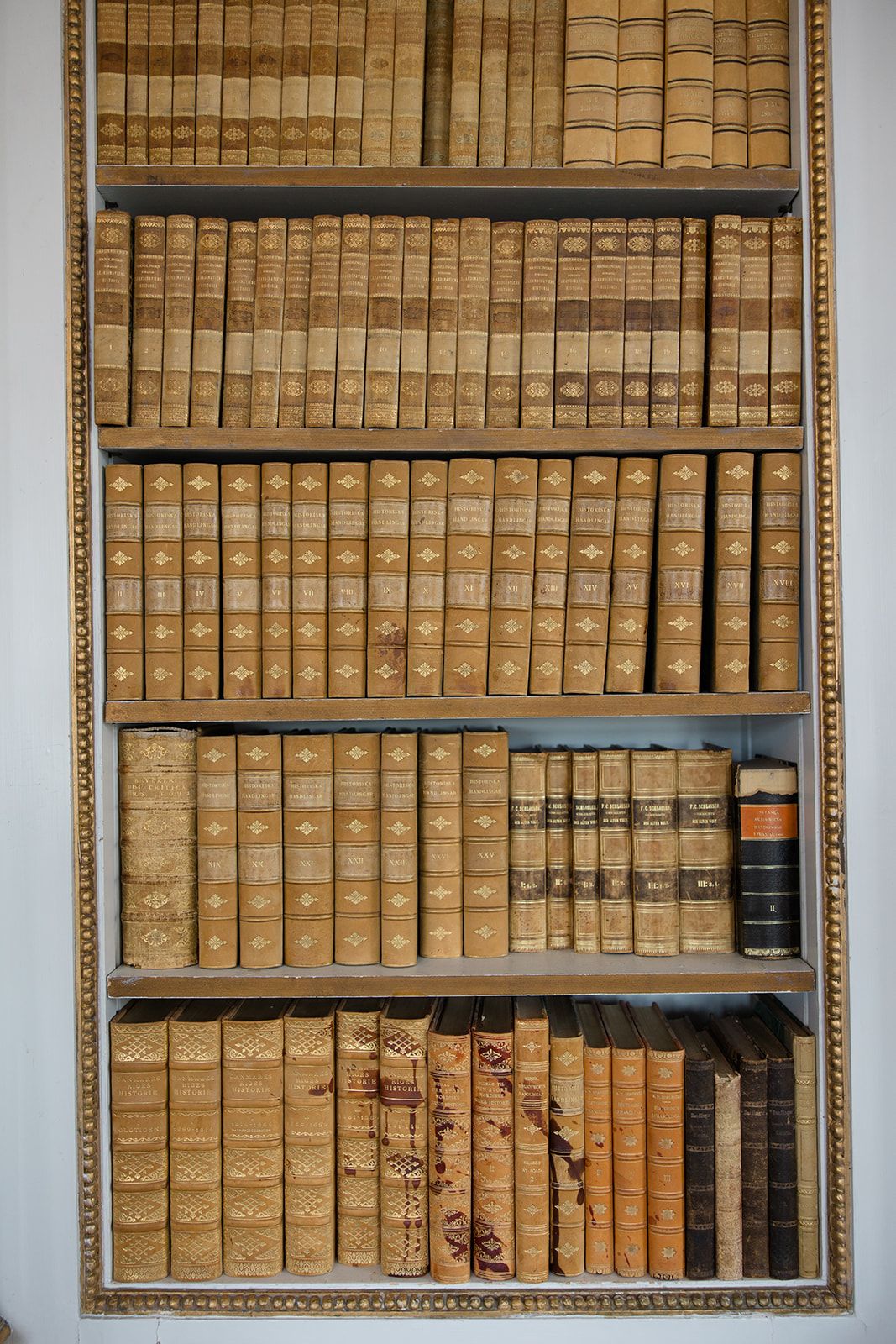 Vintage bookshelf filled with rows of antique leather-bound books in matching tan and brown colors arranged neatly on wooden shelves.