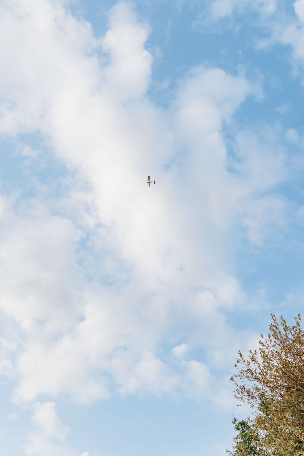 White fluffy clouds float in a bright blue sky with a treetop visible in the corner of the frame in Delaware, Ohio family photo session