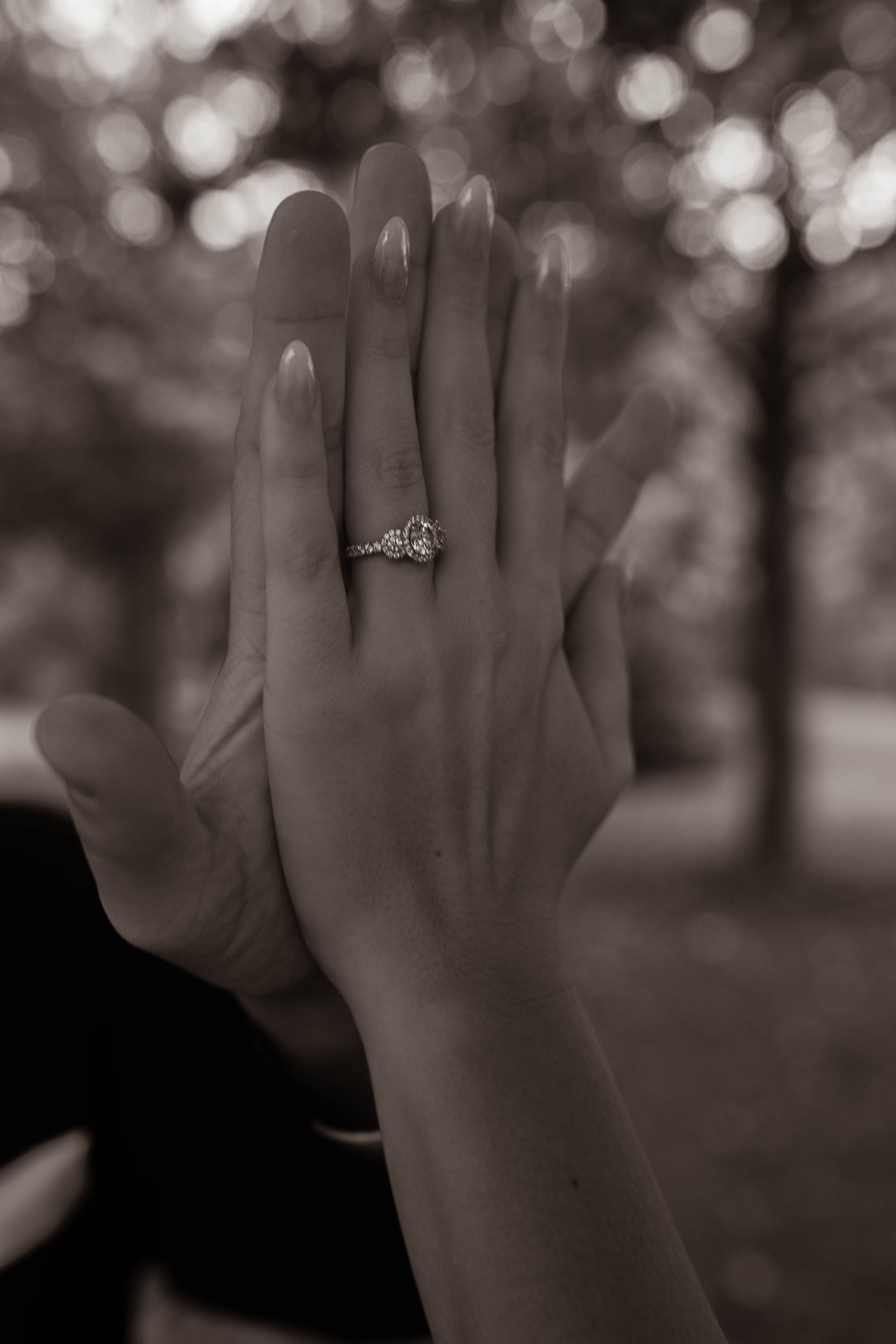 Close-up of hands showing off an engagement ring with a beautiful bokeh background in black and white.