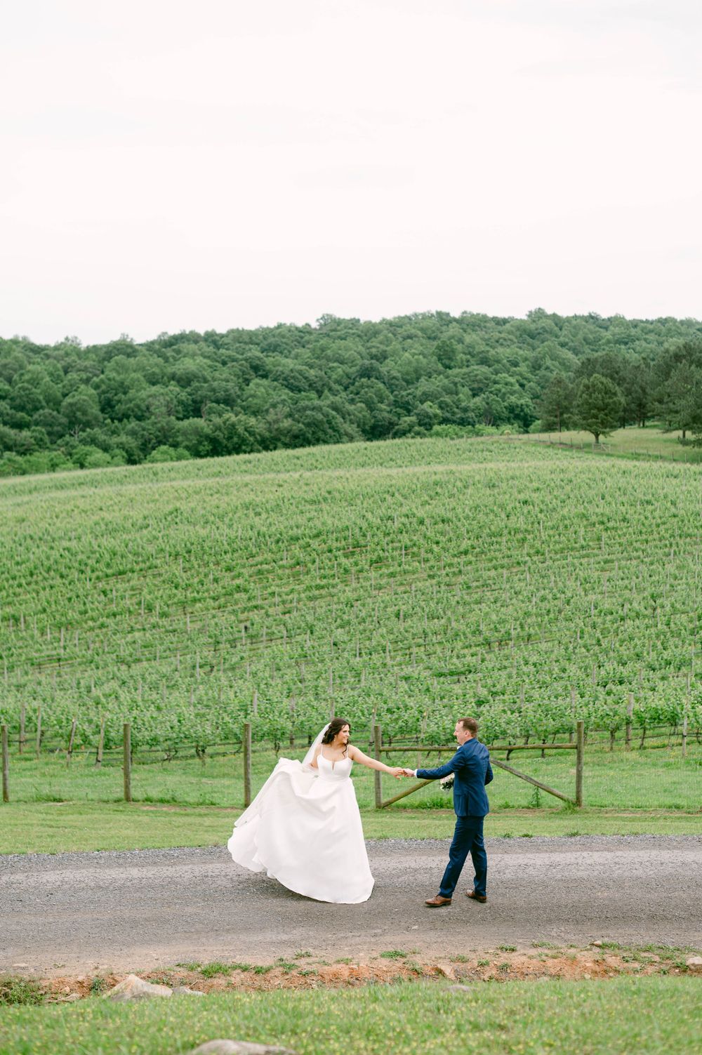 A couple takes romantic wedding photos in a scenic vineyard with rolling hills and grapevines in the background.
