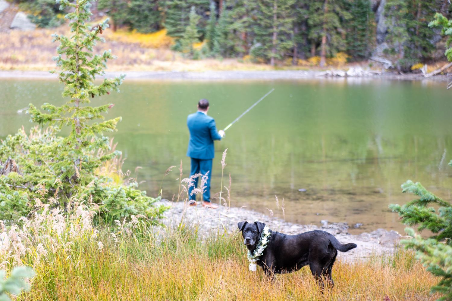 A man in a blue suit is fishing by an alpine like surrounded by pine trees. His dog is standing with a floral collar on in autumn grass.