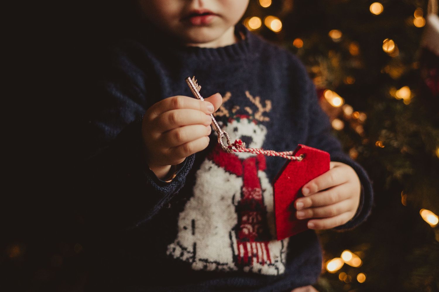 A small white dog wearing a red and white striped scarf sits against a dark background with twinkling holiday lights.