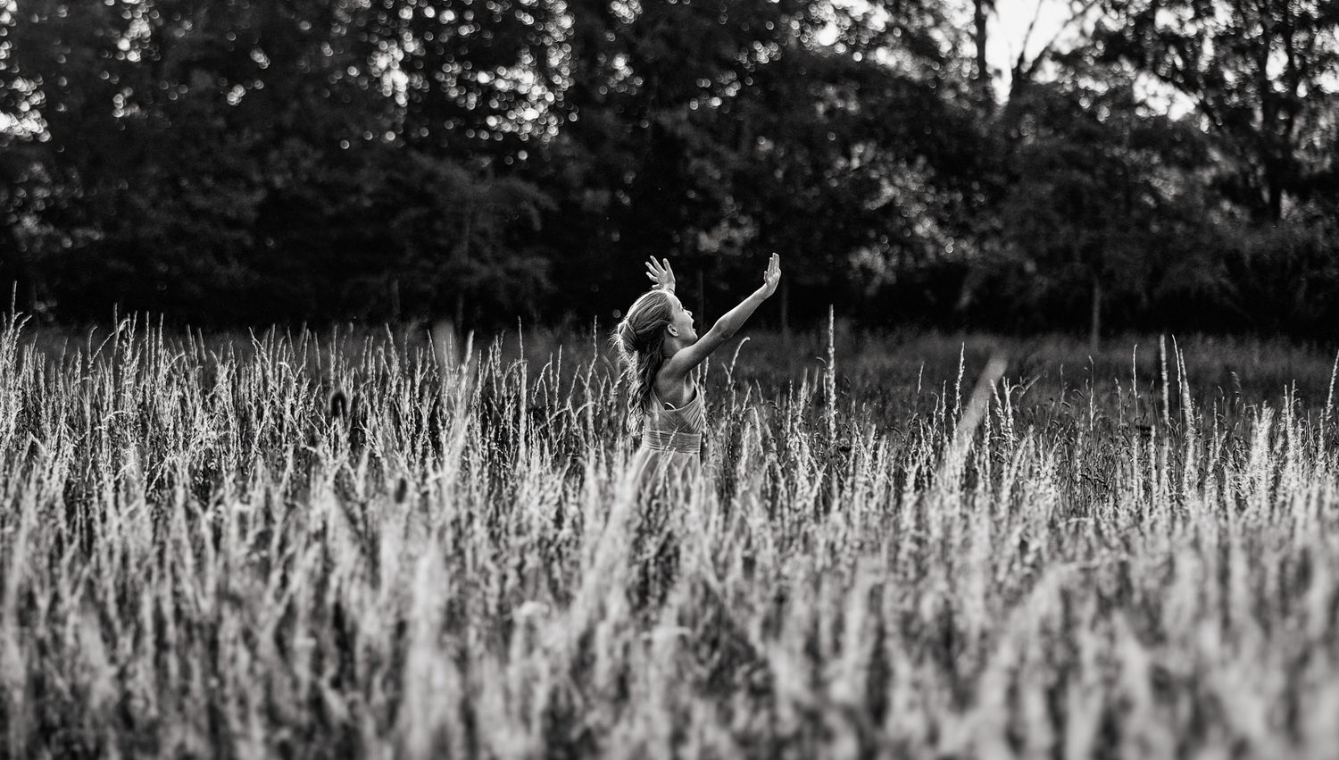 A series of black and white photographs showing a rural landscape with wheat fields and trees in the background.
