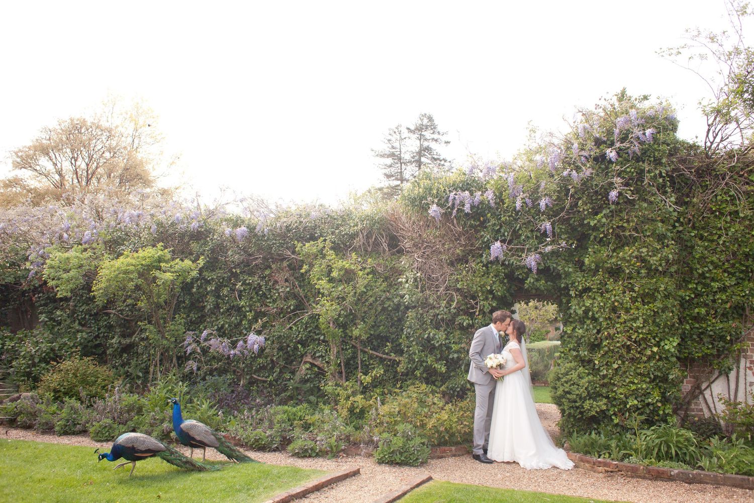 A romantic couple embraces in a scenic outdoor garden setting with lush greenery and natural light Northbrook Park