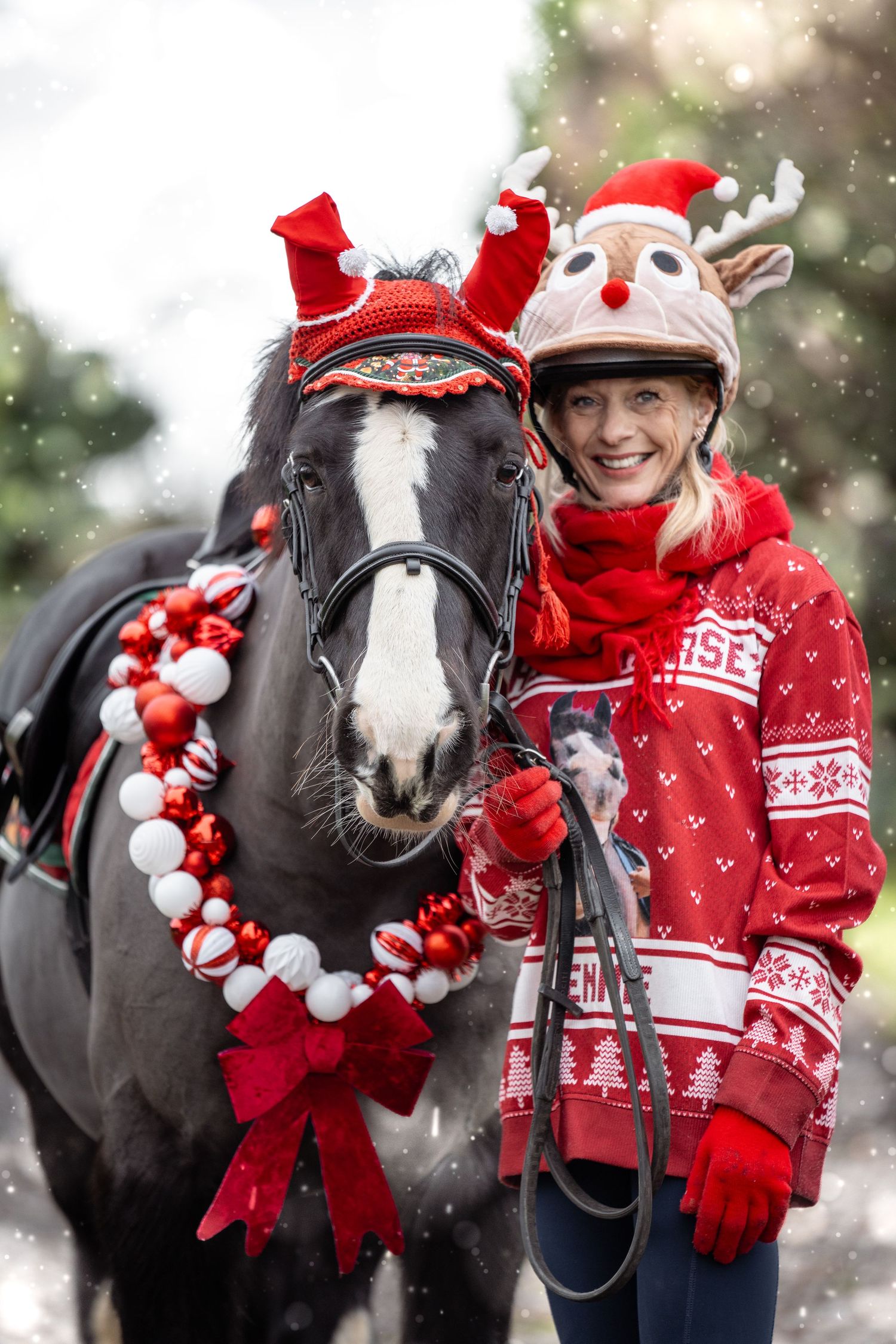 A black horse wearing festive red Christmas decorations and wreaths poses with a rider in a matching holiday sweater.