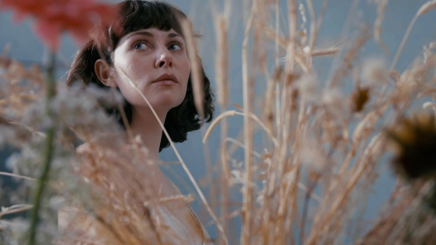 A person with long hair stands in a field of dried grass and reeds during golden hour lighting.