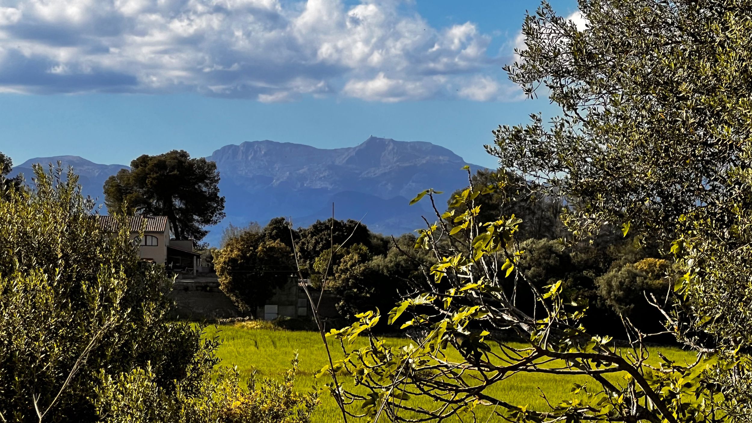 Lush green Mediterranean landscape with olive trees, a stone villa, and dramatic mountain peaks under a partly cloudy blue sky.