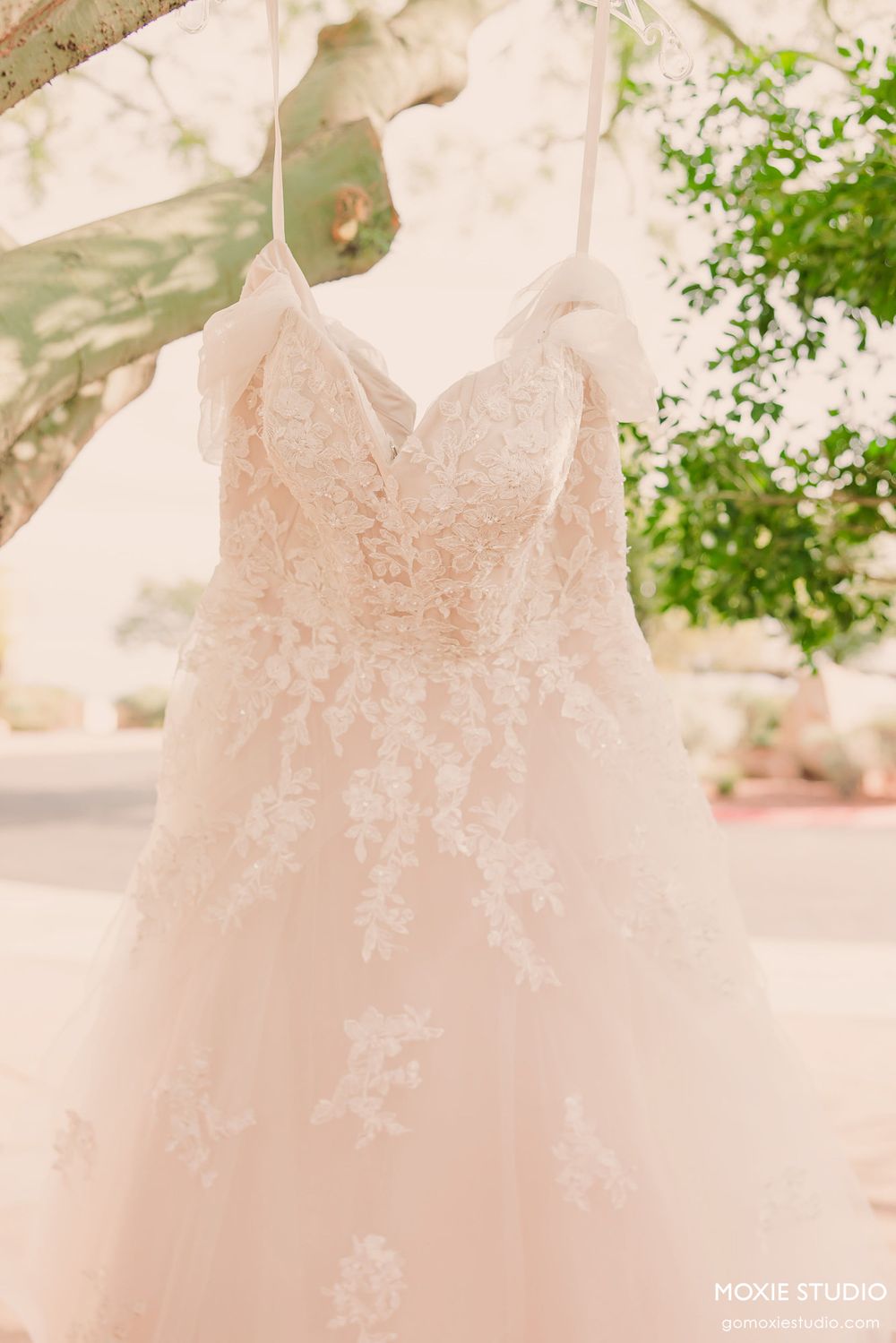 A delicate blush pink wedding dress with lace appliques and spaghetti straps hangs elegantly against a sunlit outdoor backdrop.