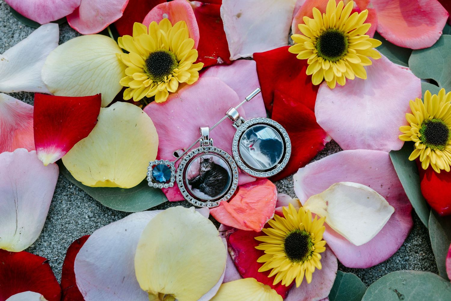 Pink rose petals and bright yellow sunflowers scattered on a grey concrete surface create a vibrant floral display.