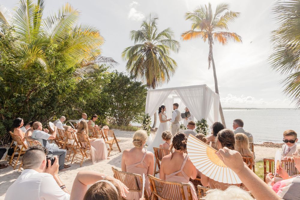 Outdoor beach wedding ceremony with guests seated on wooden chairs under swaying palm trees.