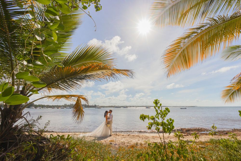 Palm trees sway over a pristine tropical beach with white sand and turquoise waters on a sunny day.