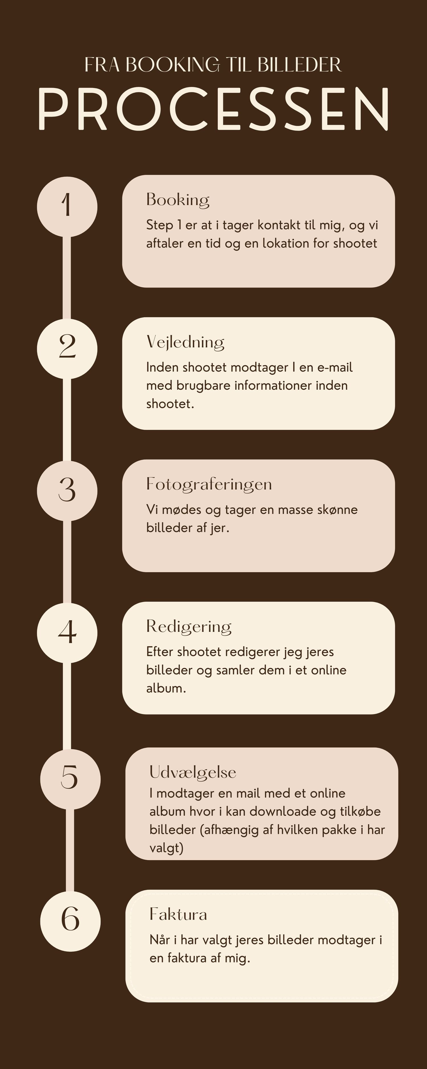 Infographic showing 6 steps of a photography booking process in Danish with white text on dark brown background.