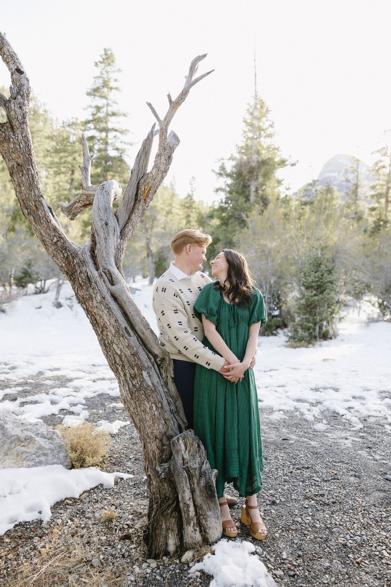 A couple embraces near a weathered tree in a snowy mountain landscape with evergreen trees in the background.