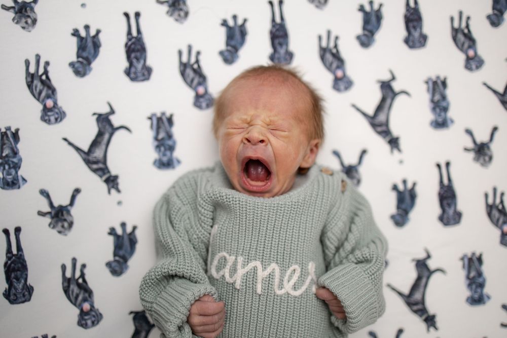 Springfield, IL Newborn Photographer Portfolio