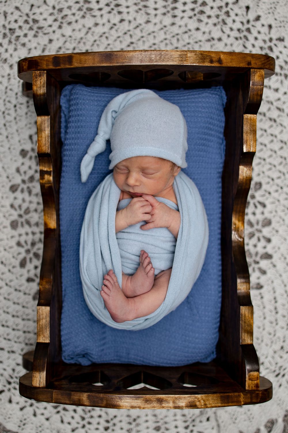 Springfield, IL Newborn Photographer Portfolio