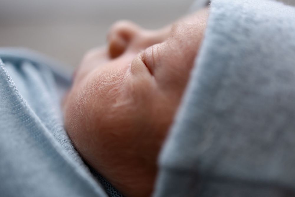 Springfield, IL Newborn Photographer Portfolio