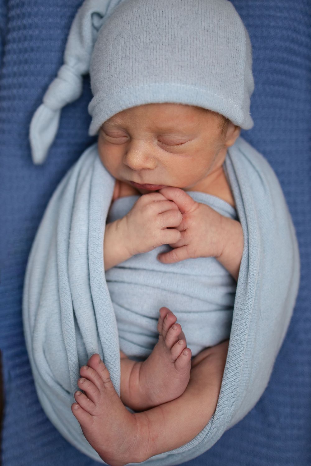 Springfield, IL Newborn Photographer Portfolio