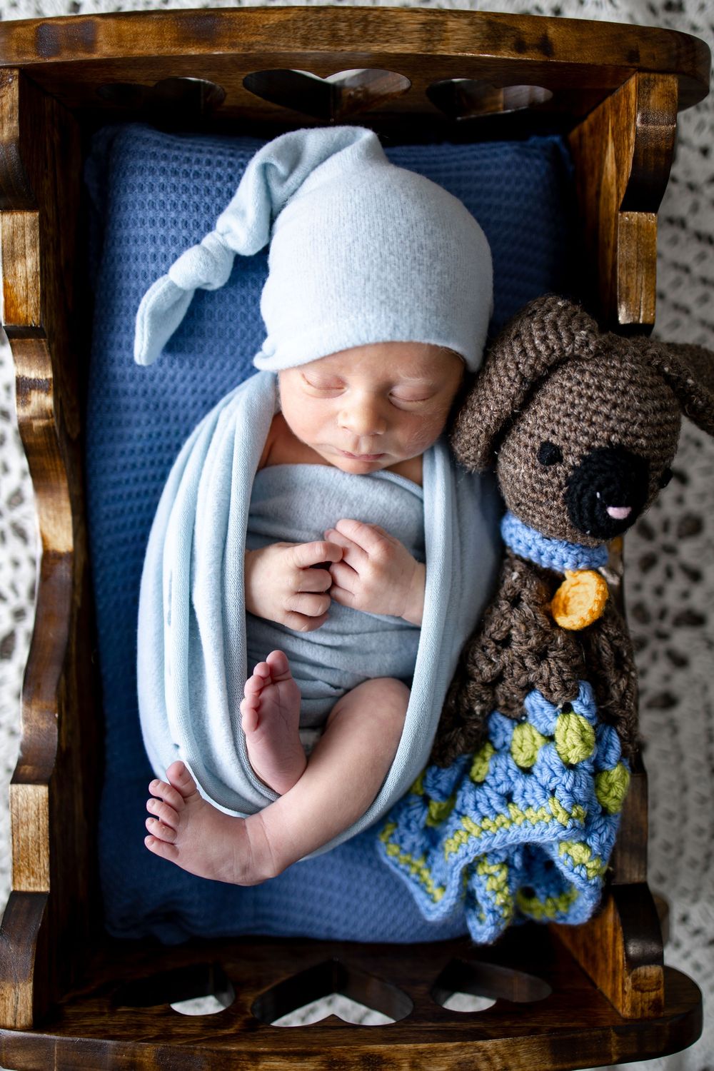 Springfield, IL Newborn Photographer Portfolio