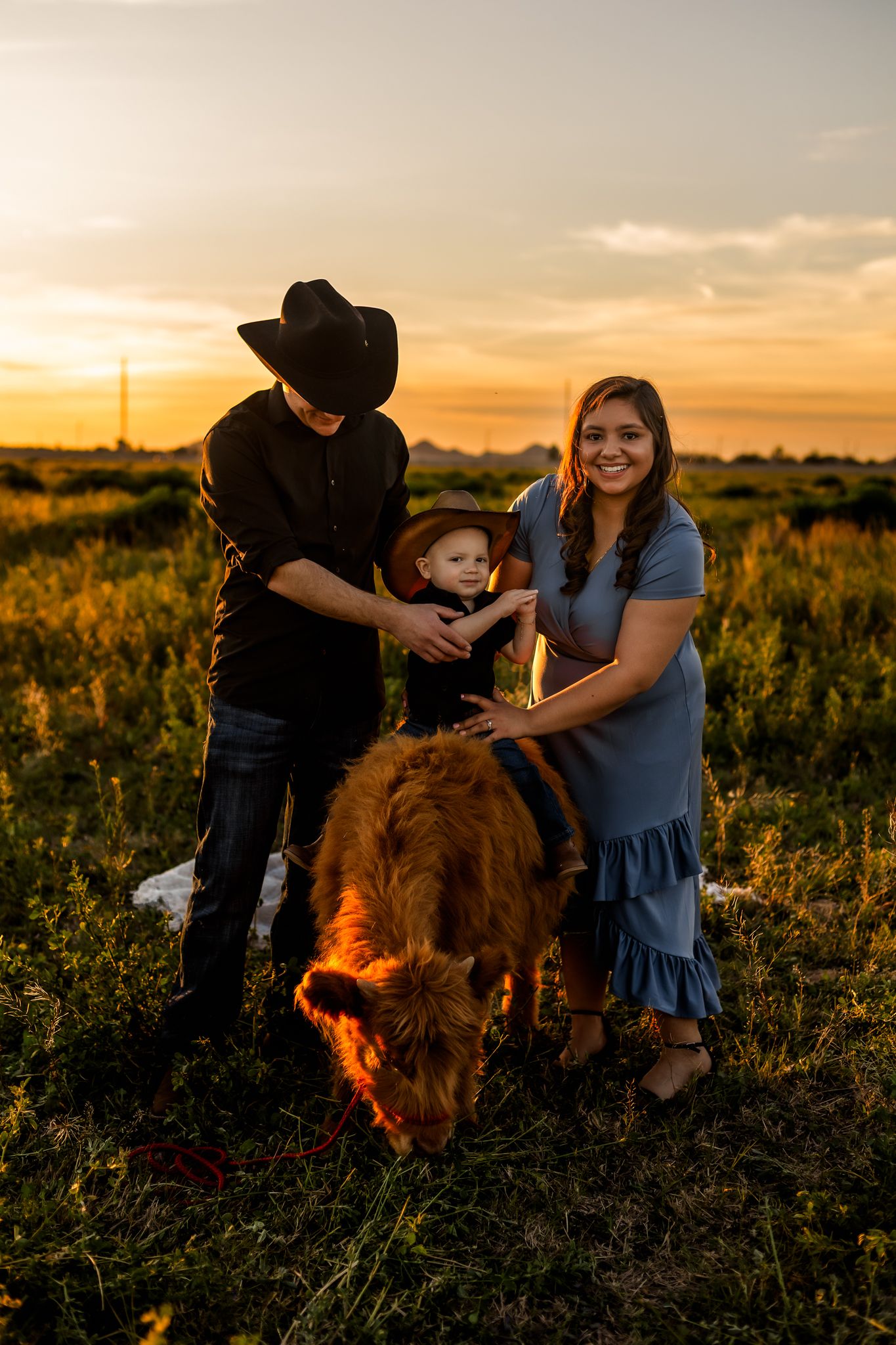 Family with highland cow poses together in field during golden hour sunset photoshoot for their family photoshoot in Buckeye Arizona