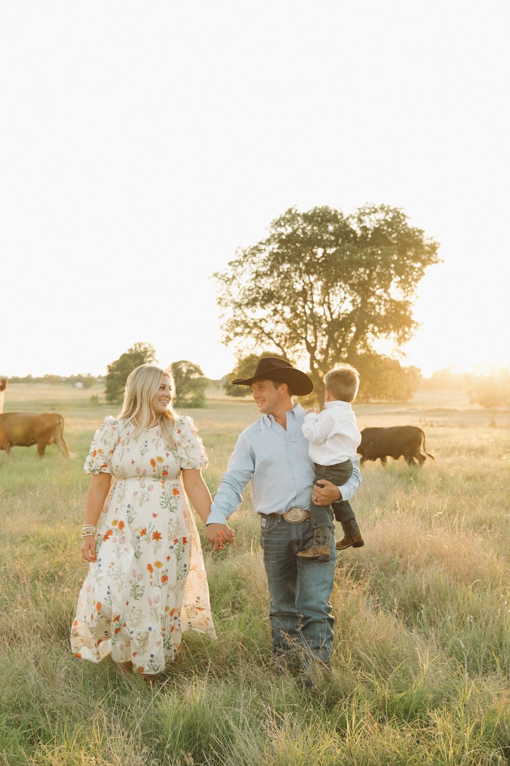 A couple walks through a golden sunlit field with buffalo grazing in the background during sunset.