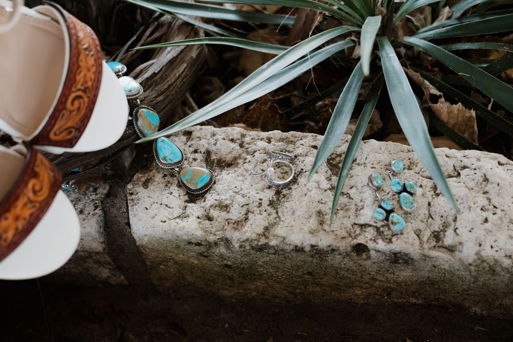 A rustic wooden log with succulent plants growing on top of it in a natural garden setting.