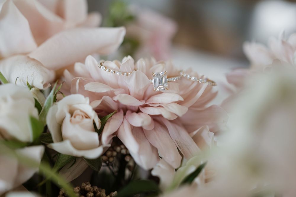 Delicate pink chrysanthemum flowers in soft focus with blurred petals creating a dreamy romantic atmosphere.