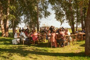 Outdoor wedding reception with guests seated at wooden tables under birch trees.