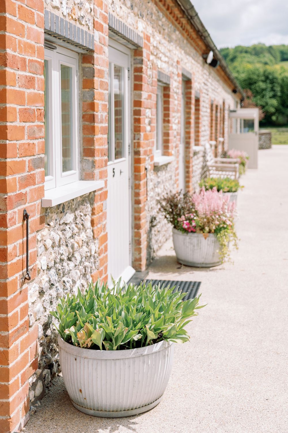 Red brick building exterior with white trim windows and potted plants along pathway.