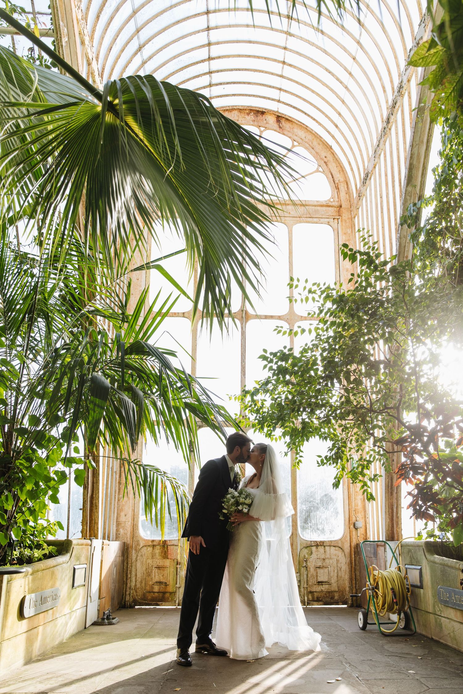 A couple shares an intimate moment in a sunlit Victorian conservatory filled with tropical palms and greenery.