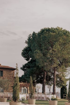 Panoramic view of large pine trees and Italian villa architecture against cloudy sky in wine country setting.