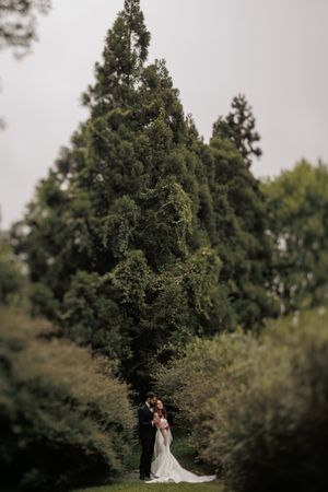 Two people embrace beneath towering evergreen trees in an elegant garden wedding setting.