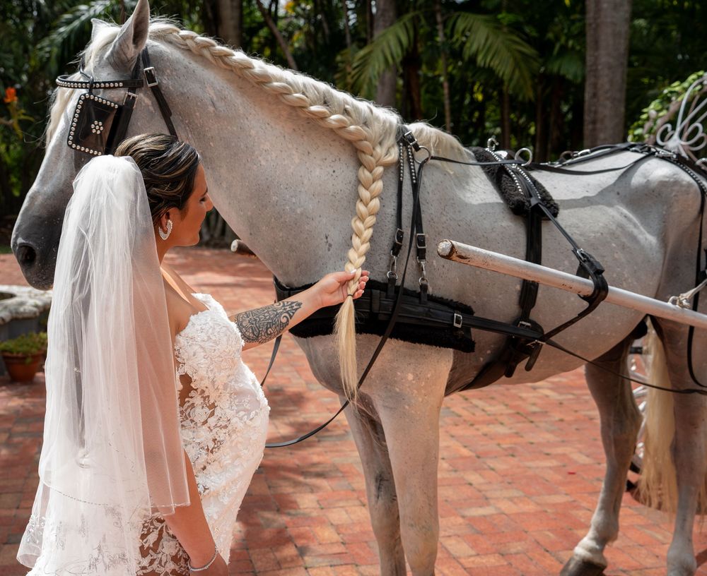 A dapple gray horse wearing a white braided mane and leather tack stands on brick pavement beside someone in white attire.