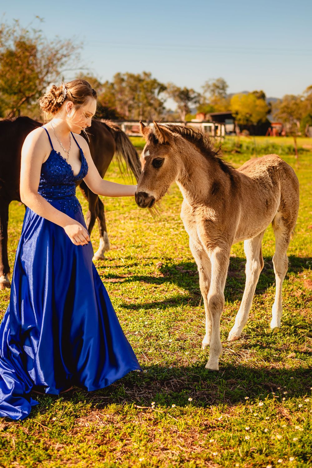 Person in blue formal gown interacts with young foal in sunlit field.