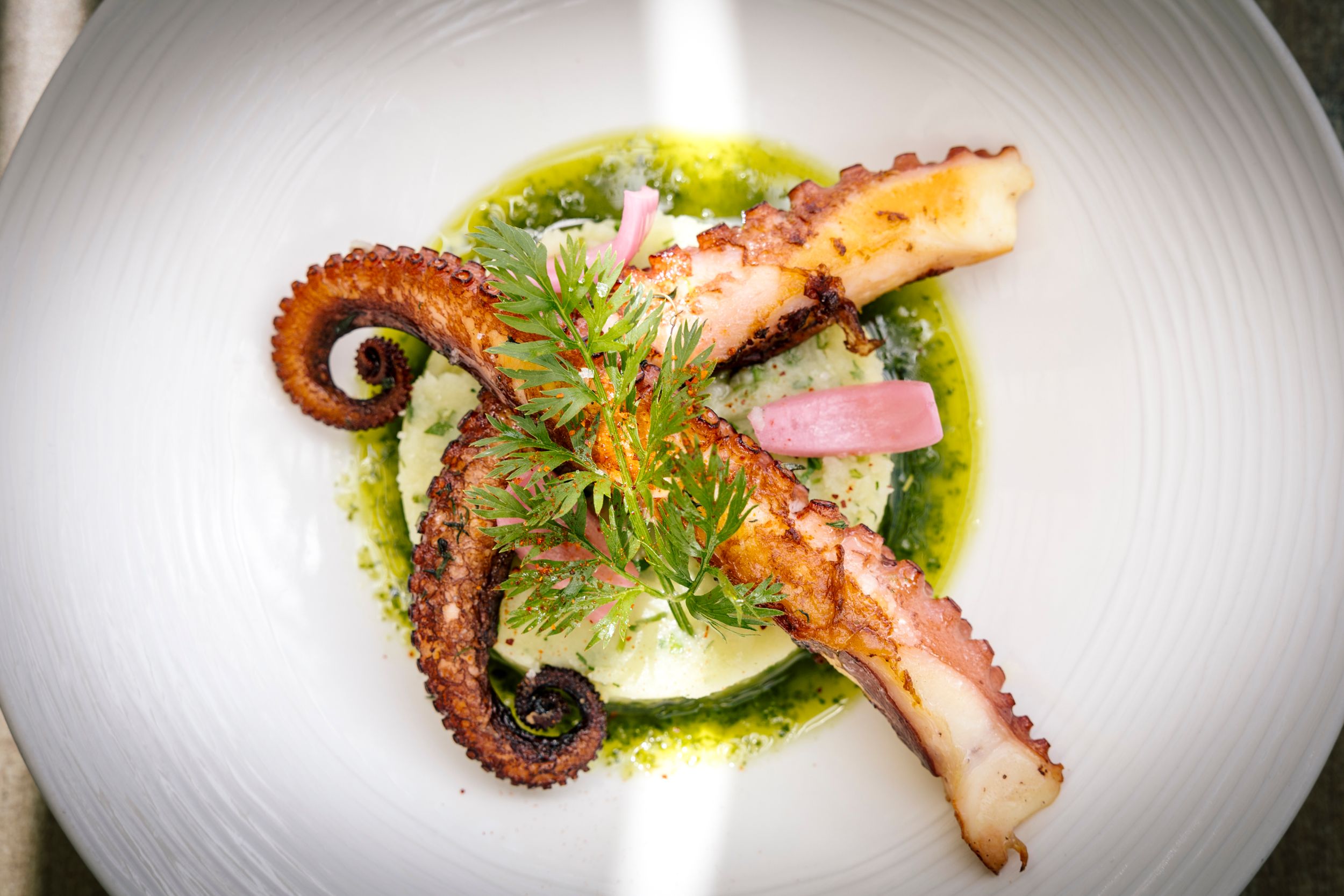 Gourmet octopus dish with green sauce artistically plated on a white ceramic dish.