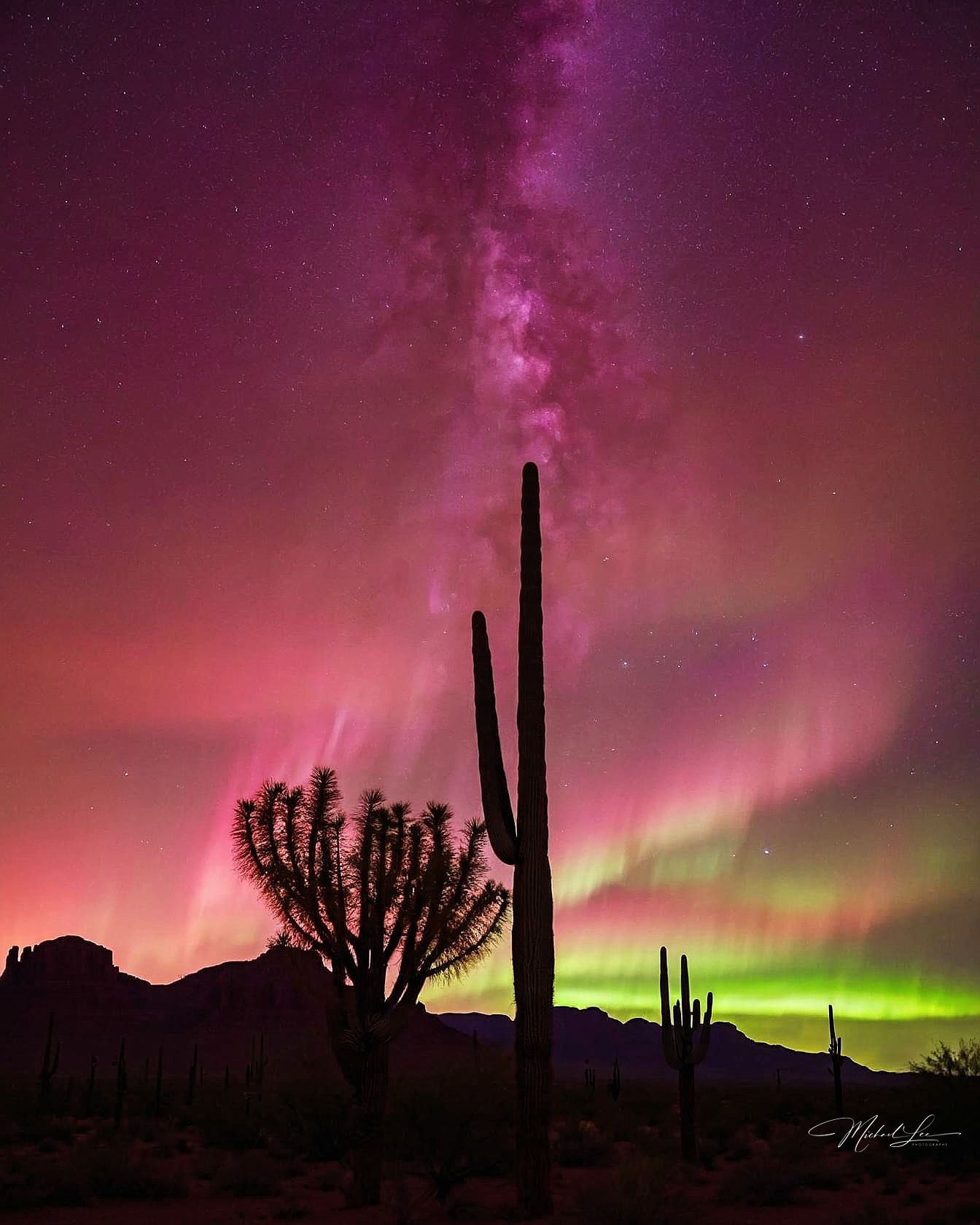Stunning Milky Way and aurora over desert cacti silhouettes against a magenta sky.