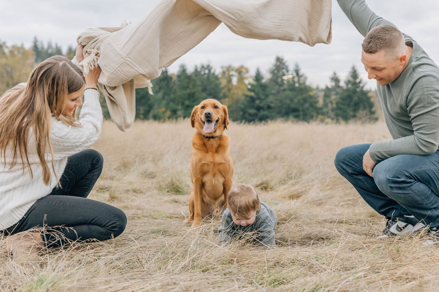 Family playing peek-a-boo with blanket over toddler and golden retriever in field.