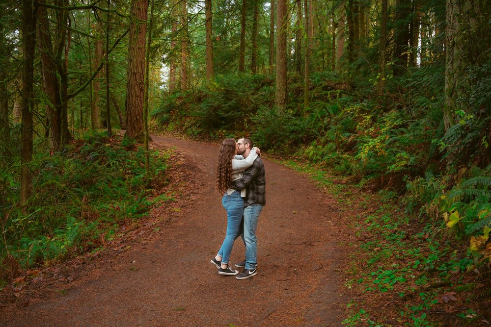 A peaceful dirt trail winding through a lush green forest with tall evergreen trees and ferns.