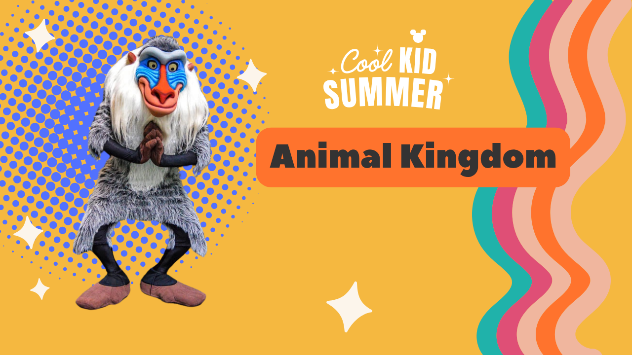 Bright orange promotional banner for Disney's Animal Kingdom with decorative graphics and icons.