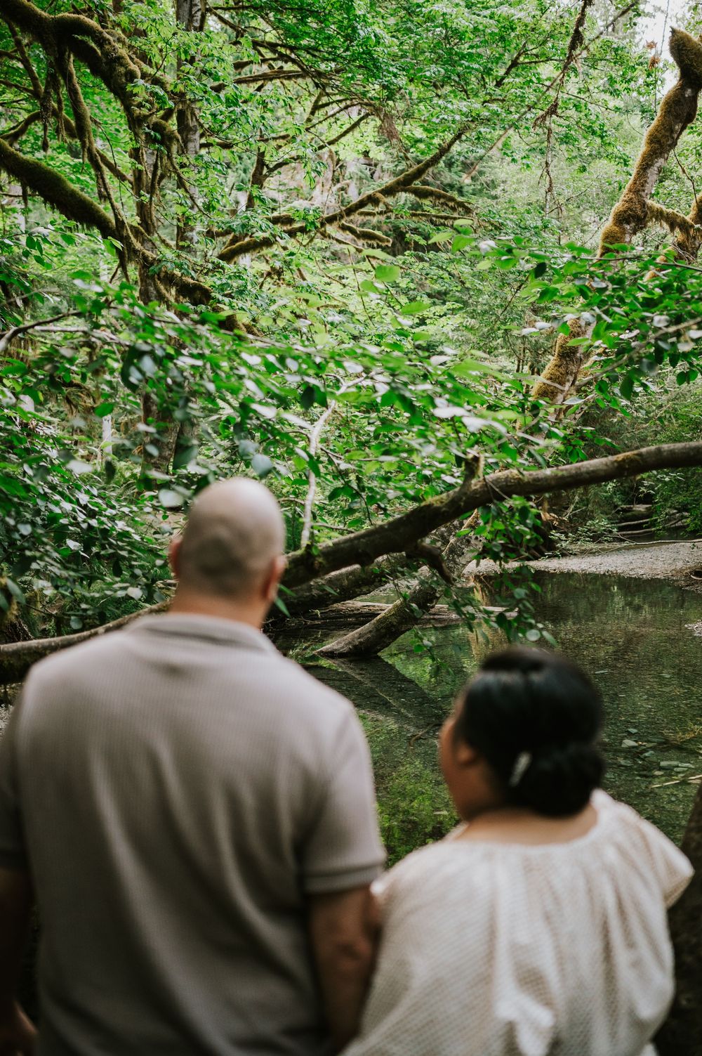Photo of engaged couple looking at creek in Cathedral Groves, MacMillan Park. Vancouver Island adventure photographer