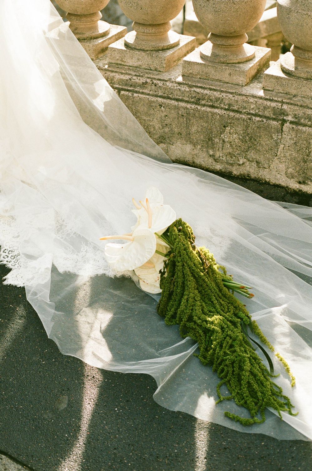 A white flowy gauze fabric reveals ornate green mossy plant material in a sequence of progressive images.