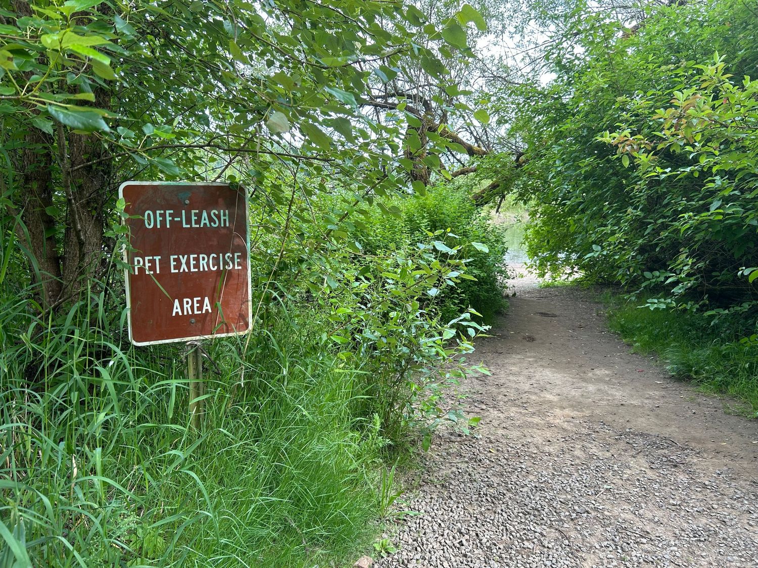 Mary S. Young off leash dog area on the Willamette River in West Linn, Oregon.