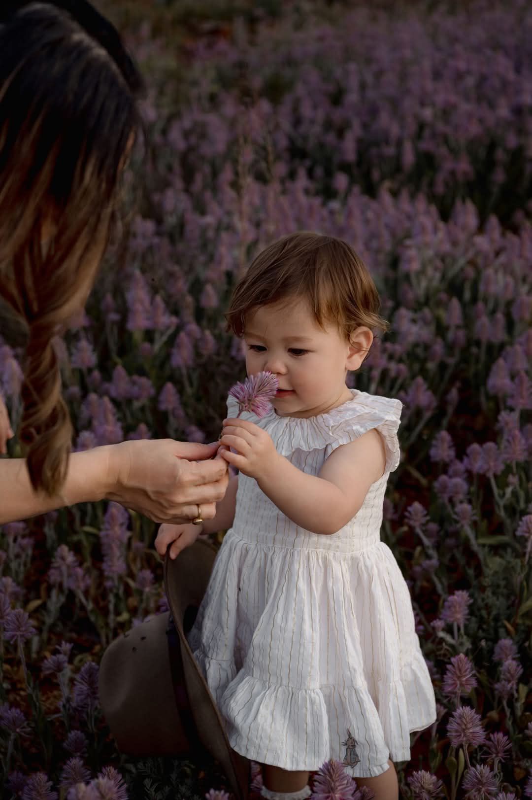 A baby in a white dress sits in a field of purple wildflowers as someone holds their hand - Kalgoorlie.